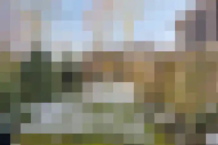 De Moesmate 254 Zutphen thumbnail 31