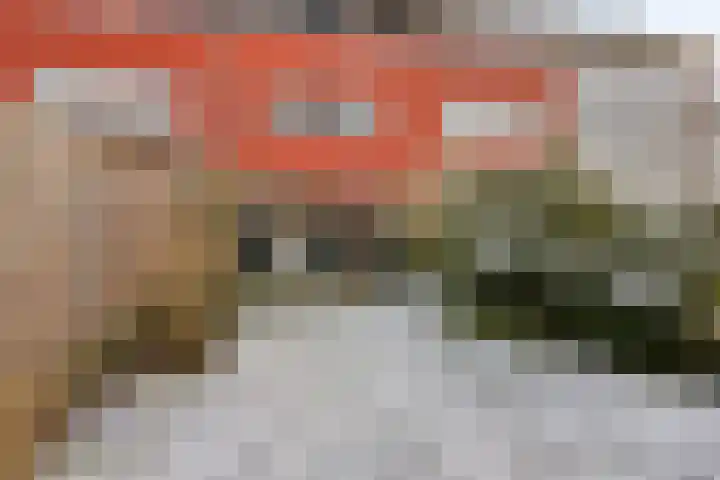 De Moesmate 254 Zutphen thumbnail 33
