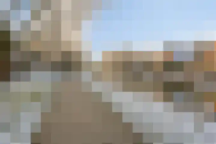 De Moesmate 254 Zutphen thumbnail 35