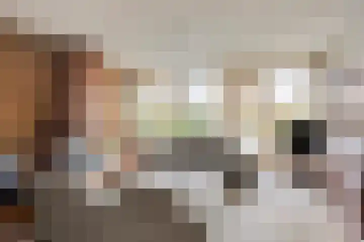 De Moesmate 254 Zutphen thumbnail 4