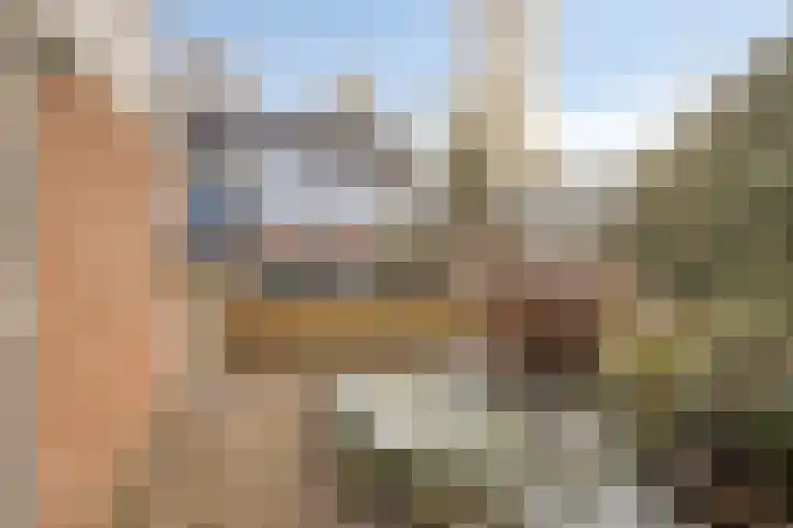 De Moesmate 254 Zutphen thumbnail 8