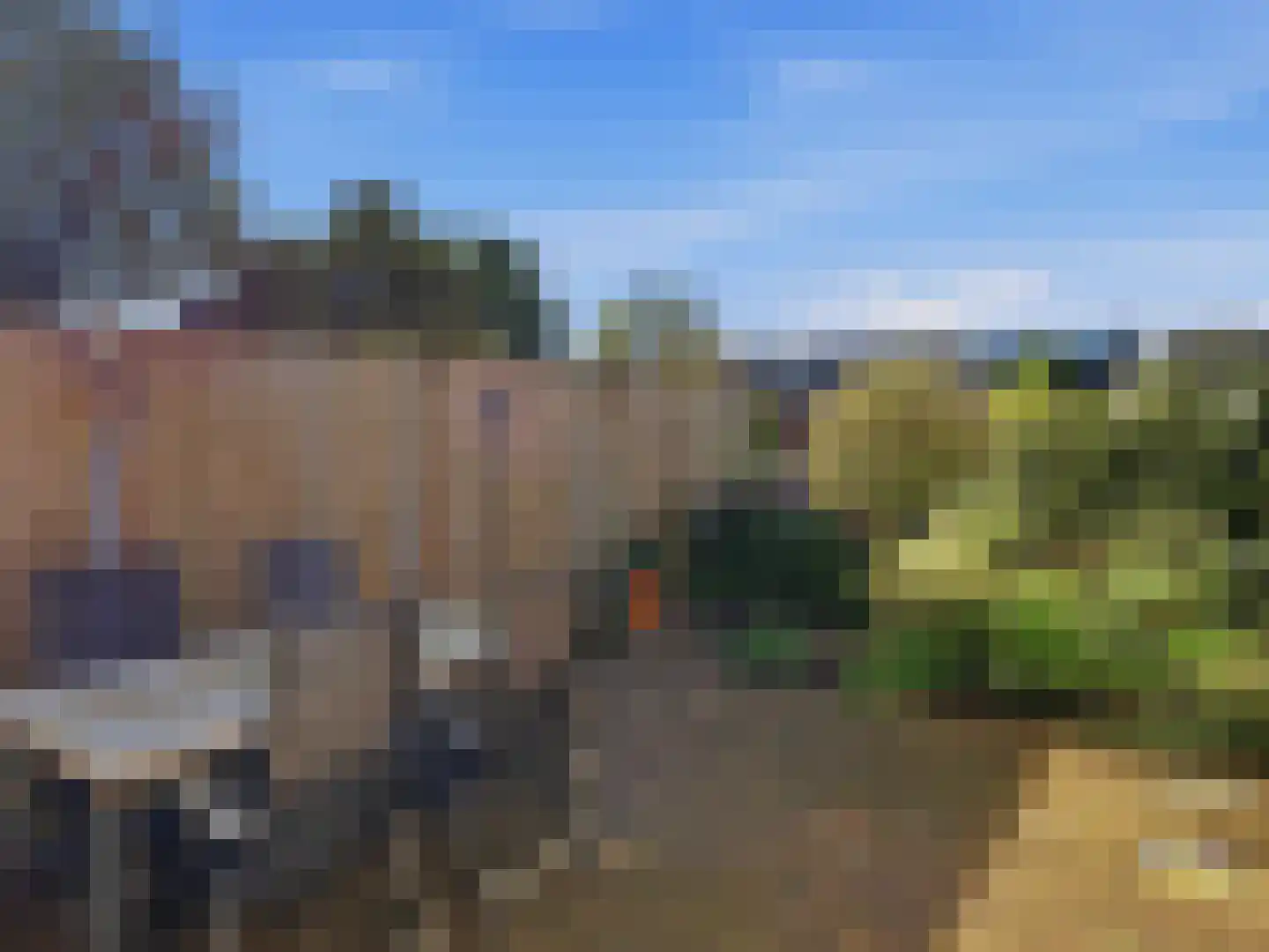 De Moesmate 293 Zutphen thumbnail 25