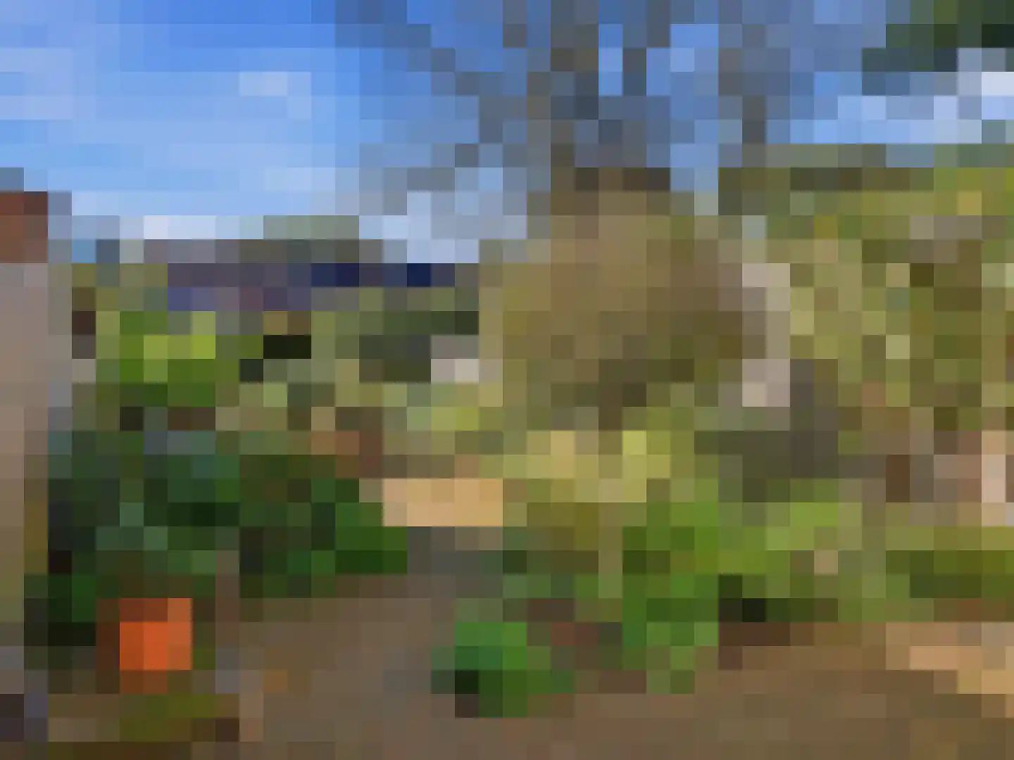 De Moesmate 293 Zutphen thumbnail 26