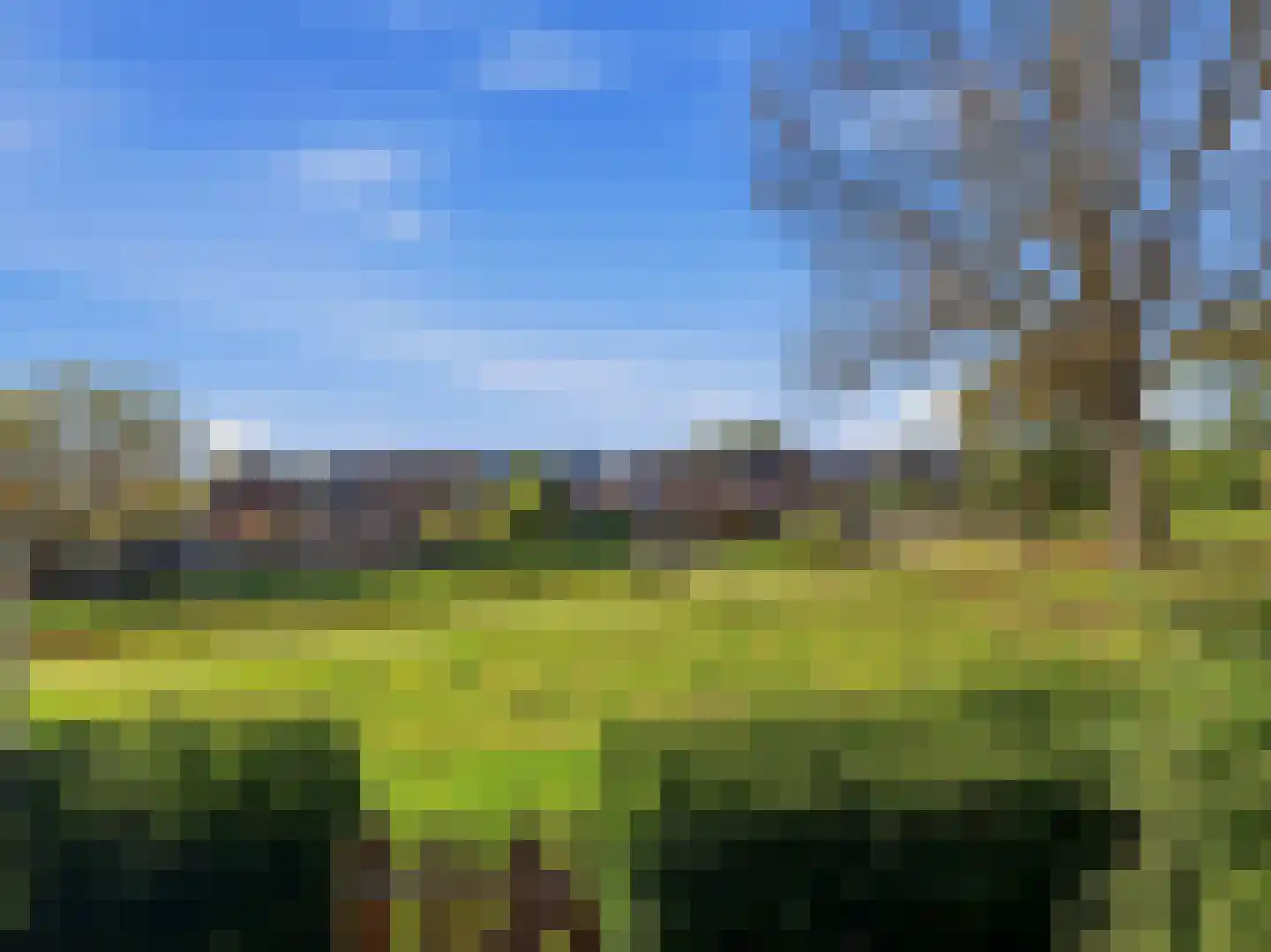 De Moesmate 293 Zutphen thumbnail 32