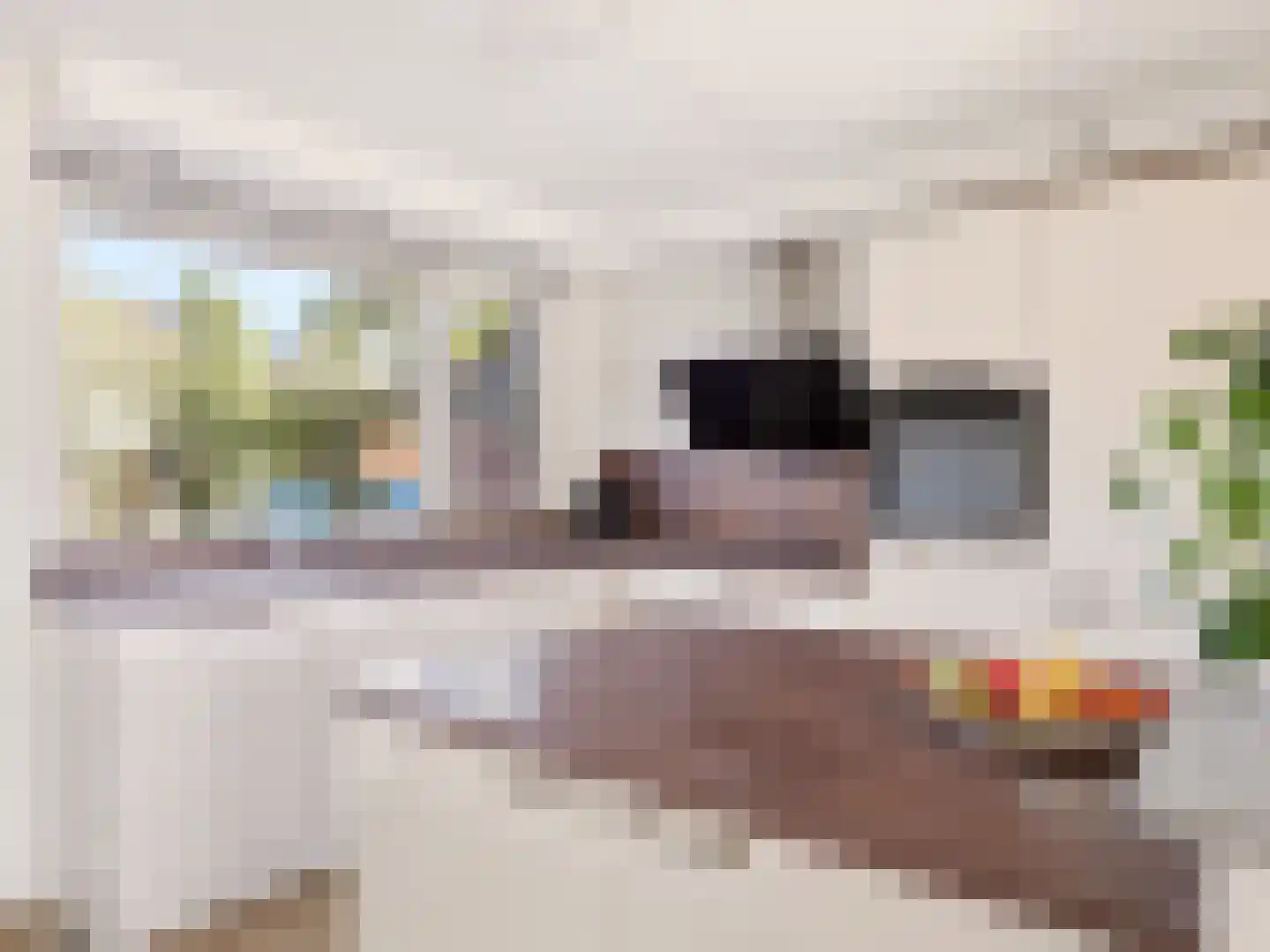 De Moesmate 293 Zutphen thumbnail 5