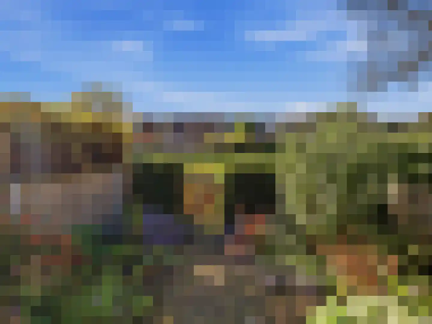 De Moesmate 293 Zutphen thumbnail 6