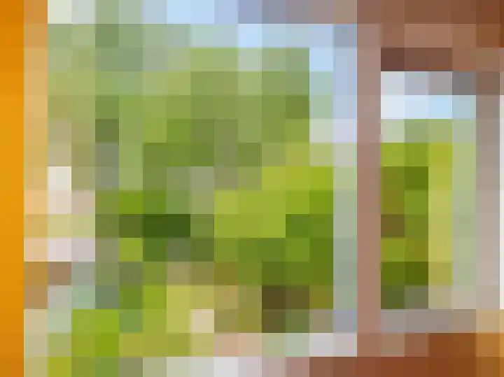 De Moesmate 298 Zutphen thumbnail 17