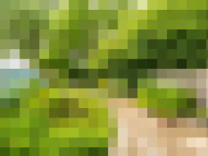 De Moesmate 298 Zutphen thumbnail 26