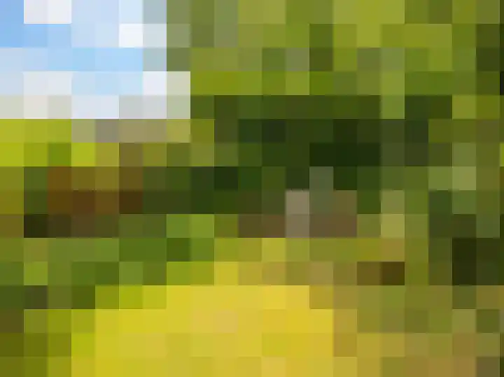 De Moesmate 298 Zutphen thumbnail 31