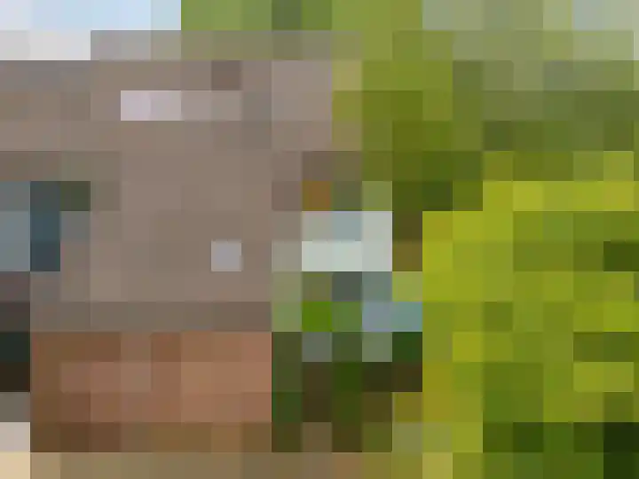 De Moesmate 298 Zutphen thumbnail 33