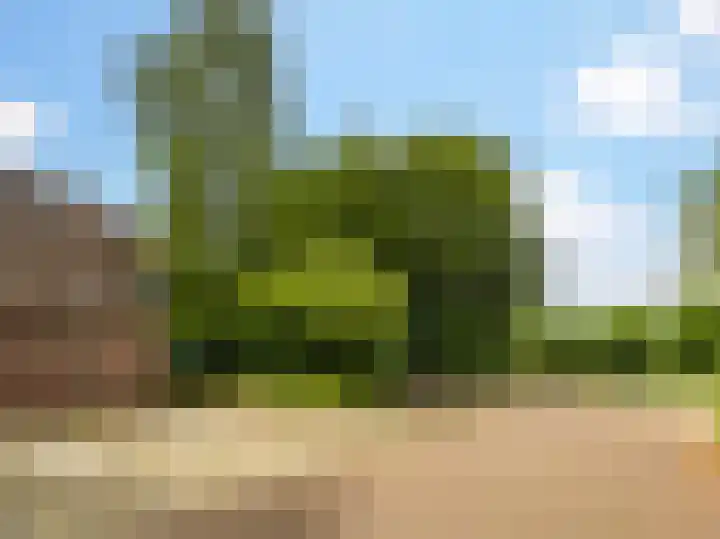 De Moesmate 298 Zutphen thumbnail 34