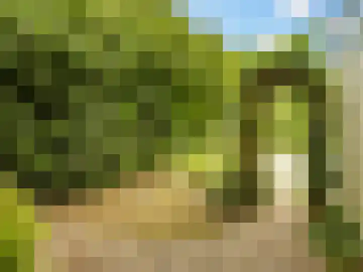 De Moesmate 298 Zutphen thumbnail 35