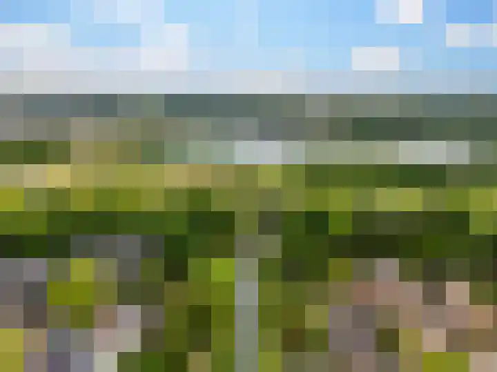 De Moesmate 298 Zutphen thumbnail 36