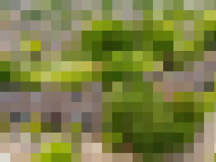 De Moesmate 298 Zutphen thumbnail 37