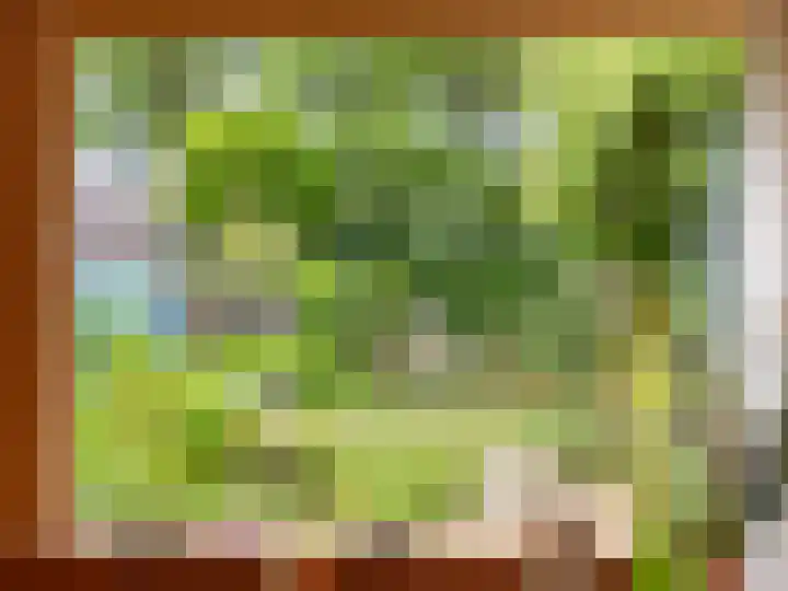De Moesmate 298 Zutphen thumbnail 5