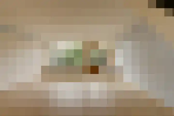 De Moesmate 4 Zutphen thumbnail 12