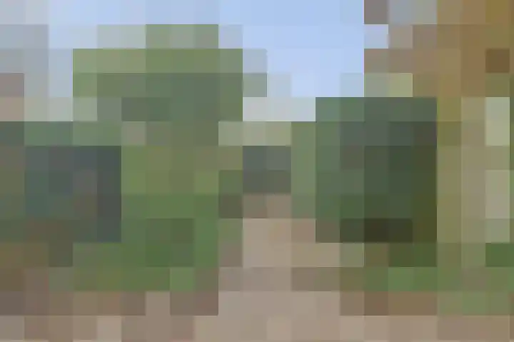 De Moesmate 4 Zutphen thumbnail 32