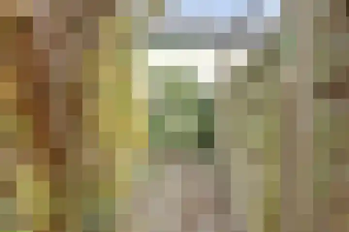 De Moesmate 4 Zutphen thumbnail 34