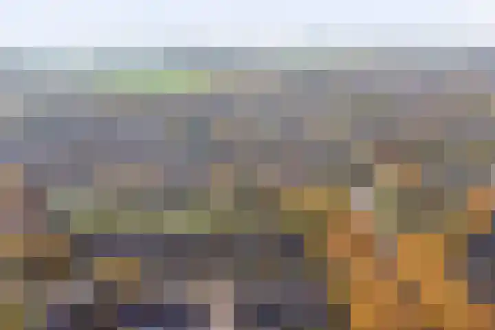 De Moesmate 4 Zutphen thumbnail 39