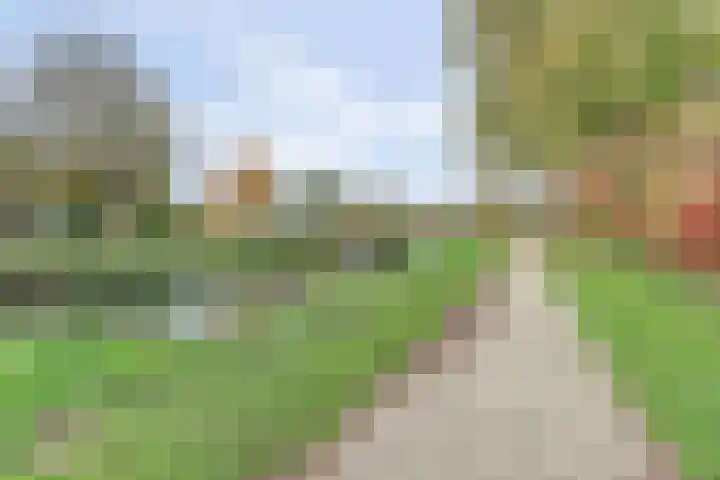 De Moesmate 4 Zutphen thumbnail 4