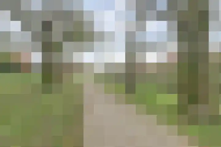 De Moesmate 4 Zutphen thumbnail 5