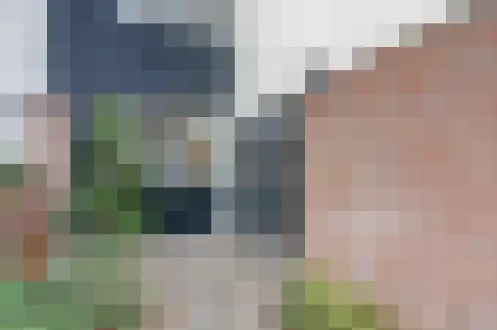De Moesmate 4 Zutphen thumbnail 7