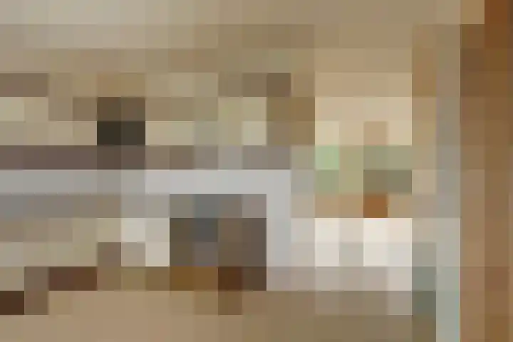 De Moesmate 4 Zutphen thumbnail 9