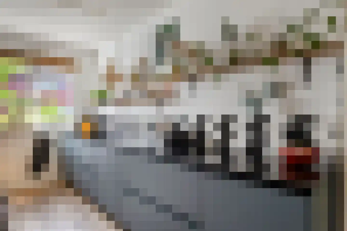 De Moesmate 48 Zutphen thumbnail 13