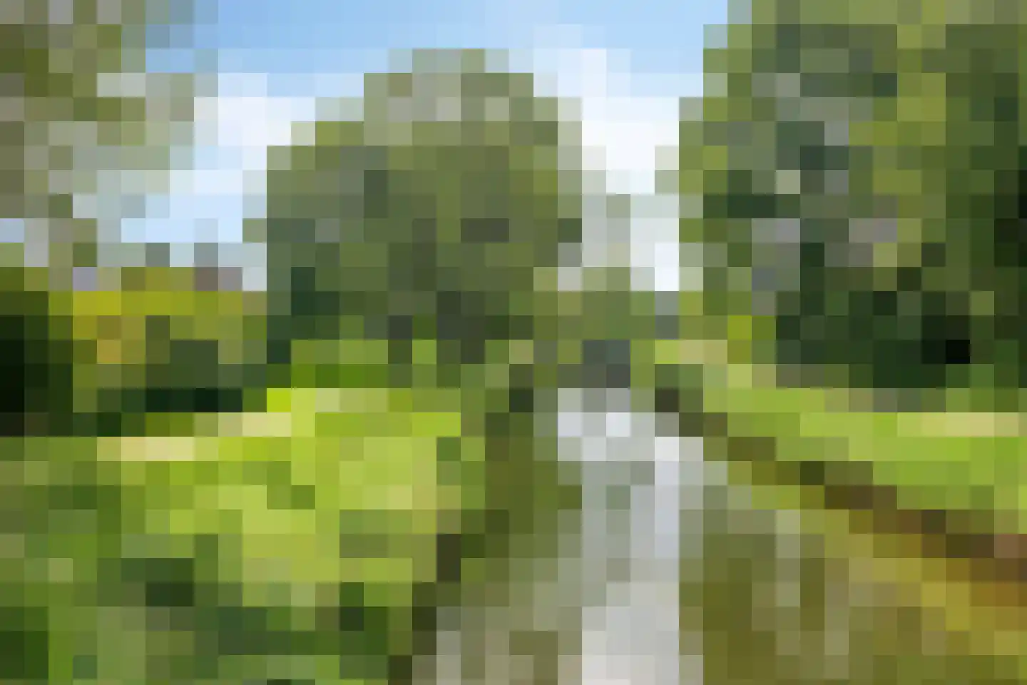 De Moesmate 48 Zutphen thumbnail 31