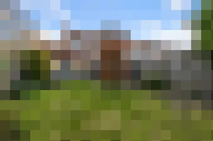 De Moestuin 1 Heiloo thumbnail 31