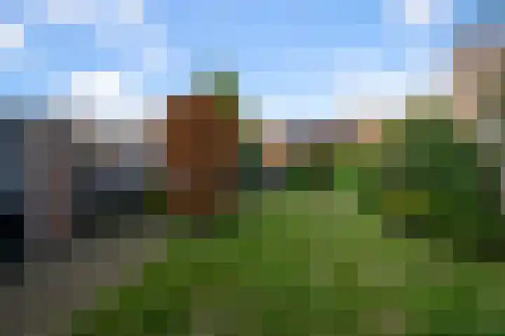 De Moestuin 1 Heiloo thumbnail 33
