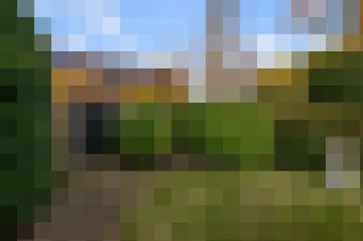 De Moestuin 1 Heiloo thumbnail 34