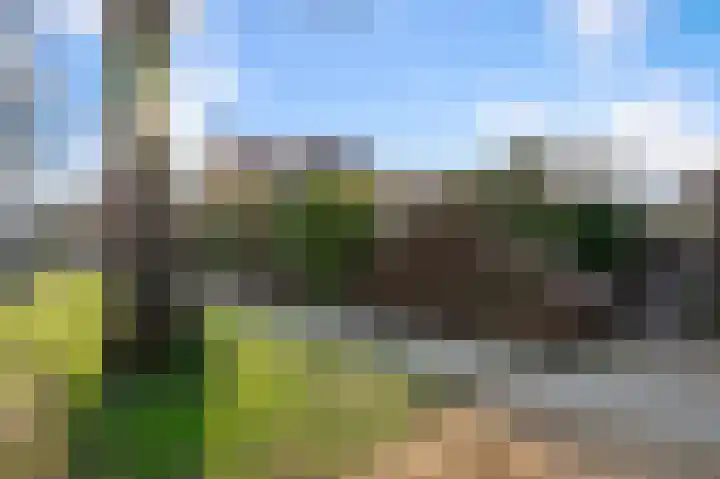 De Moestuin 1 Heiloo thumbnail 37