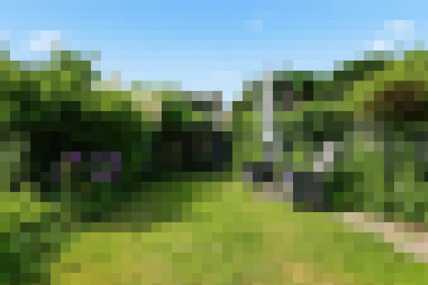 De Moestuin 15 Heiloo thumbnail 31