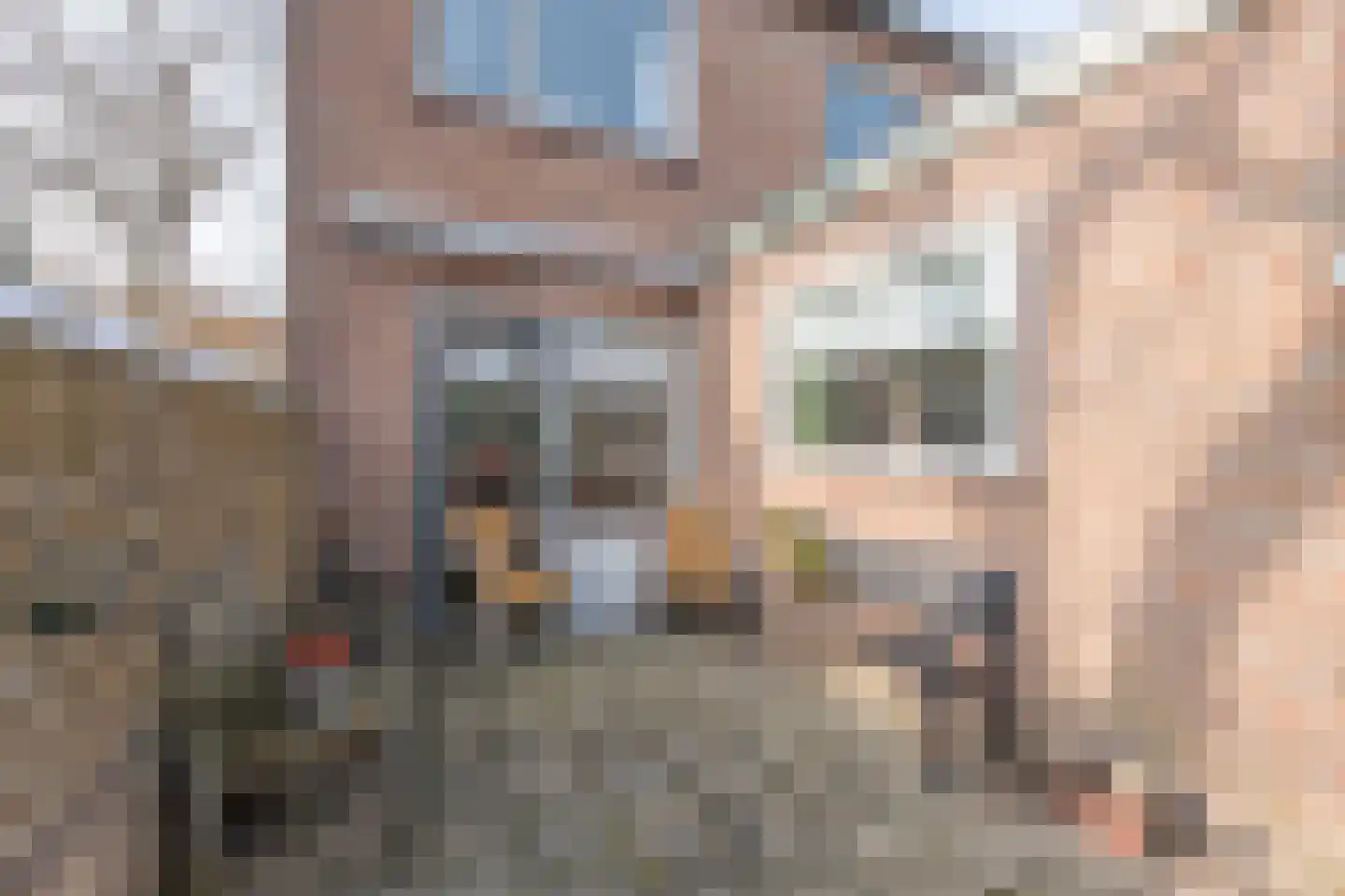 De Moestuin 16 Heiloo thumbnail 50