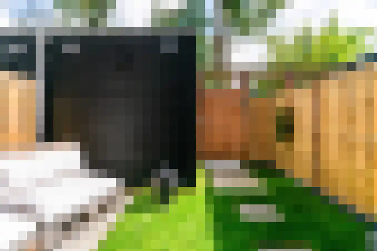 De Moestuin 22 Heiloo thumbnail 36