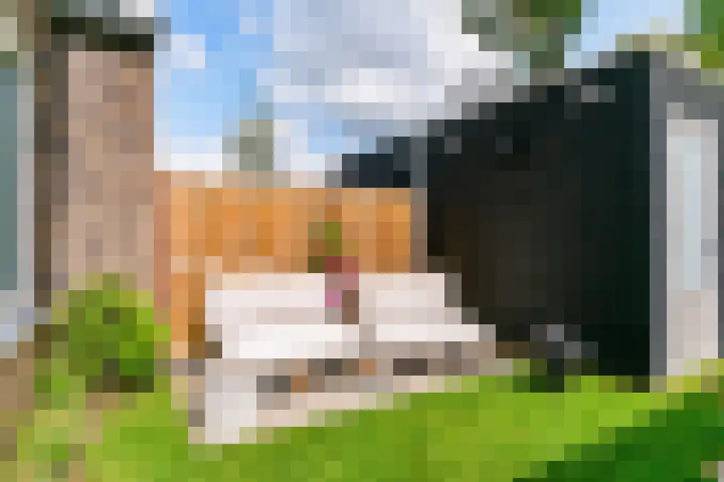 De Moestuin 22 Heiloo thumbnail 37