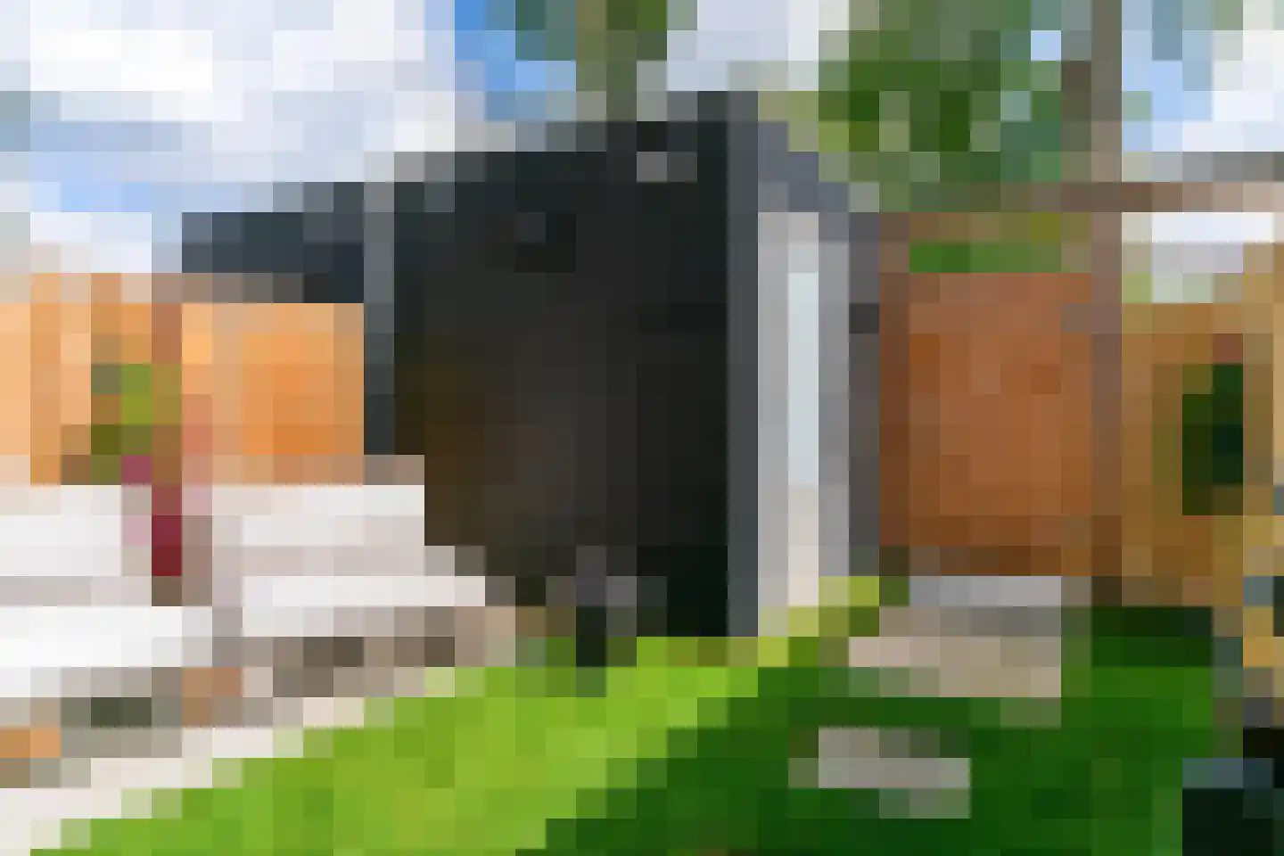 De Moestuin 22 Heiloo thumbnail 38