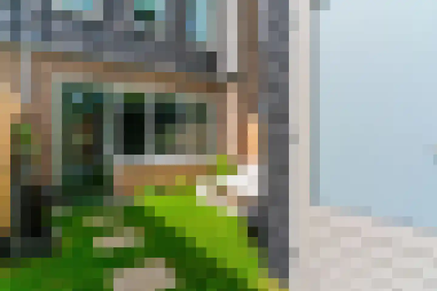 De Moestuin 22 Heiloo thumbnail 39