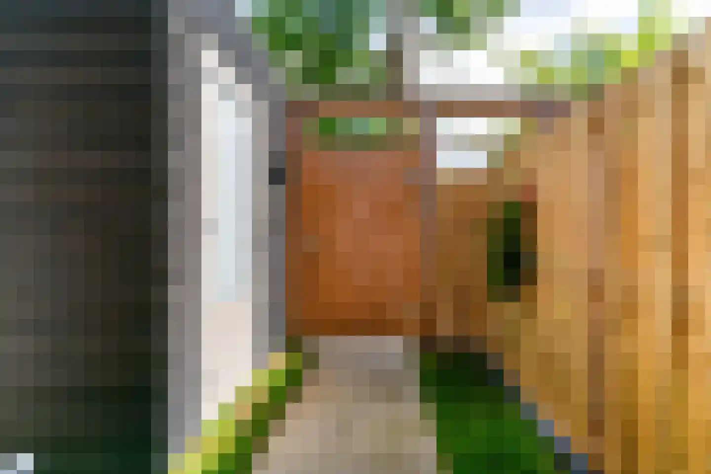 De Moestuin 22 Heiloo thumbnail 40