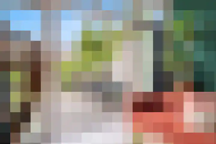 De Moestuin 3 Heiloo thumbnail 21