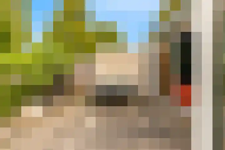 De Moestuin 3 Heiloo thumbnail 38
