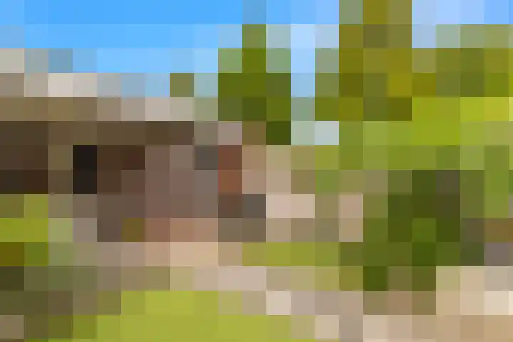 De Moestuin 3 Heiloo thumbnail 39