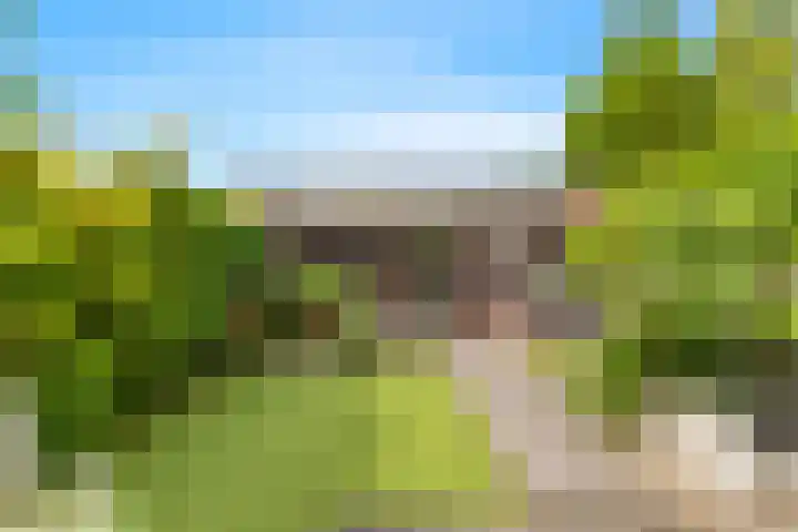 De Moestuin 3 Heiloo thumbnail 4