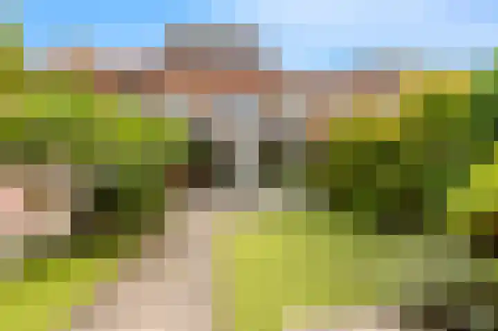 De Moestuin 3 Heiloo thumbnail 41