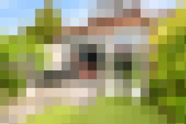 De Moestuin 3 Heiloo thumbnail 42