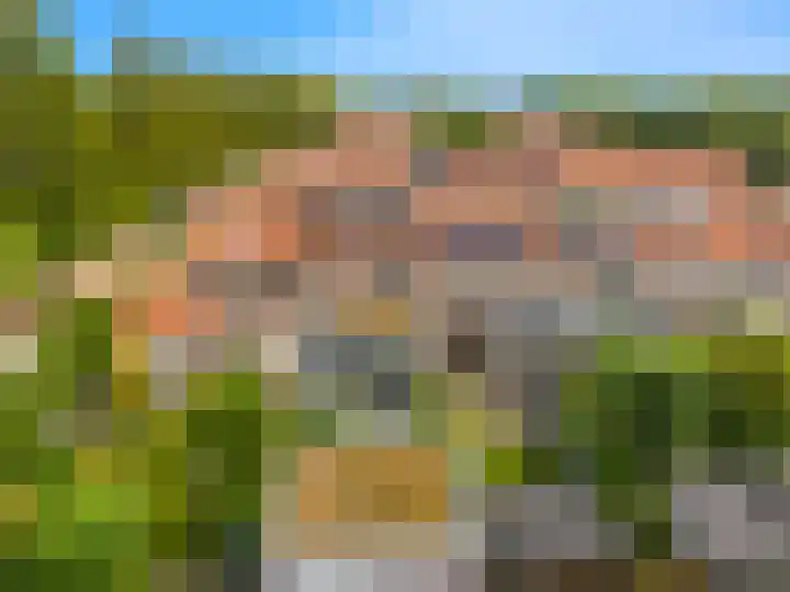 De Moestuin 3 Heiloo thumbnail 44