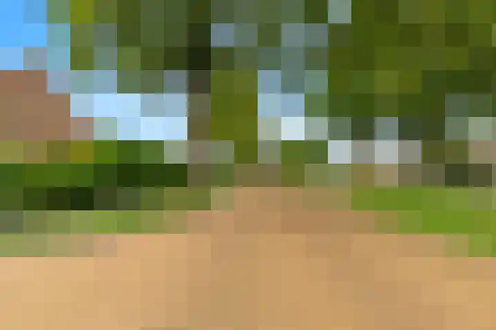 De Moestuin 3 Heiloo thumbnail 45