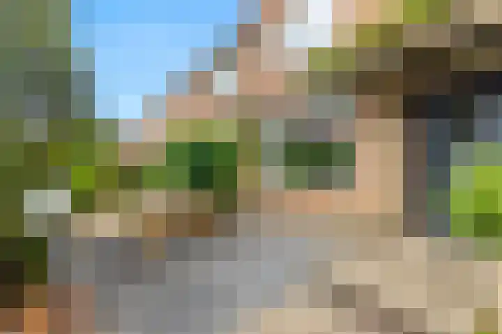 De Moestuin 3 Heiloo thumbnail 6