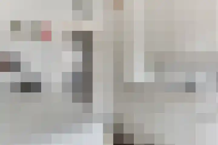 De Moestuin 9 Heiloo thumbnail 13